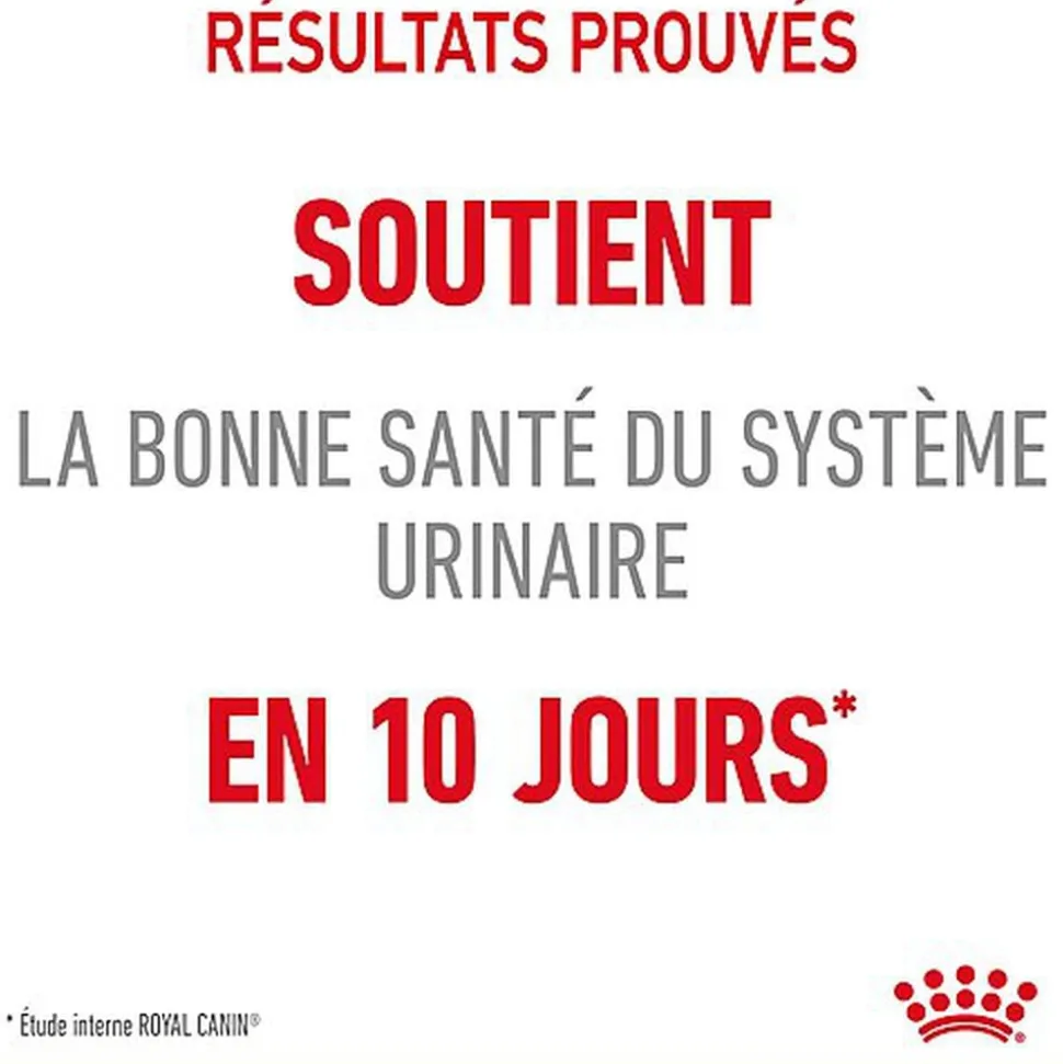 Royal Canin - Croquettes Urinary Care pour Chat