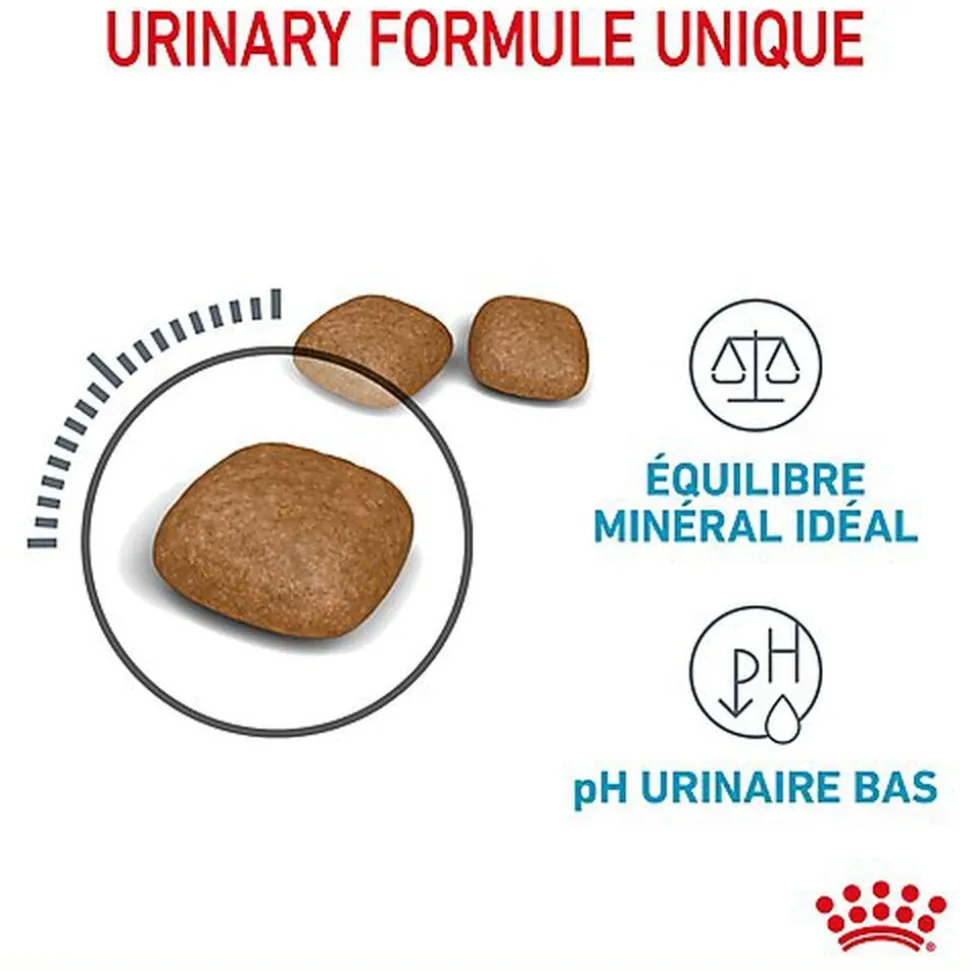 Royal Canin - Croquettes Urinary Care pour Chat