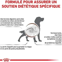 Royal Canin - Croquettes Veterinary Diet Gastro Intestinal pour Chien