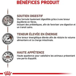 Royal Canin - Croquettes Veterinary Diet Gastro Intestinal pour Chien