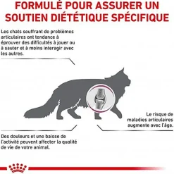 Royal Canin - Croquettes Veterinary Diet Mobility pour Chat - 2Kg