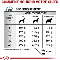 Royal Canin - Croquettes Veterinary Diet Anallergenic pour Chiens - 3Kg