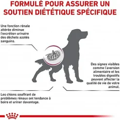 Royal Canin - Croquettes Veterinary Diet Renal pour Chien
