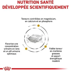 Royal Canin - Croquettes Veterinary Diet Urinary S/O Moderate Calorie pour Chien