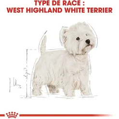 Royal Canin - Croquettes Westie Adult pour Chien