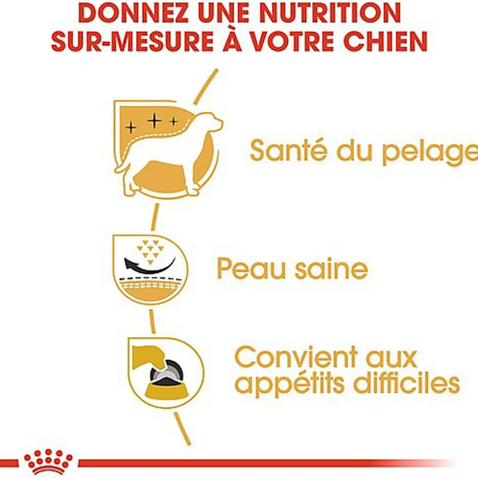 Royal Canin - Croquettes Westie Adult pour Chien