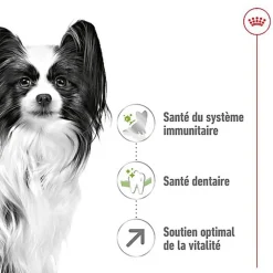 Royal Canin - Croquettes X-SMALL ADULT 8+ Pour Chien