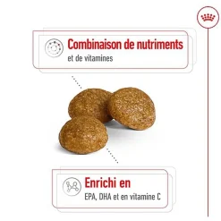 Royal Canin - Croquettes X-SMALL ADULT 8+ Pour Chien