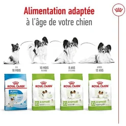Royal Canin - Croquettes X-SMALL ADULT 8+ Pour Chien