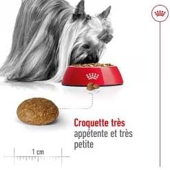 Royal Canin - Croquettes X-SMALL ADULT 8+ Pour Chien