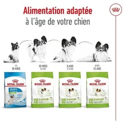 Royal Canin - Croquettes X-Small Adult pour Chien de Très Petite Taille