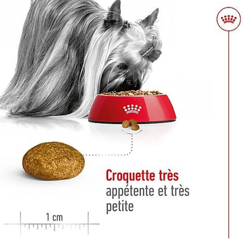 Royal Canin - Croquettes X-Small Adult pour Chien de Très Petite Taille