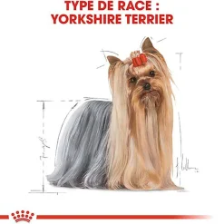 Royal Canin - Croquettes Yorkshire Terrier pour Chien Adulte