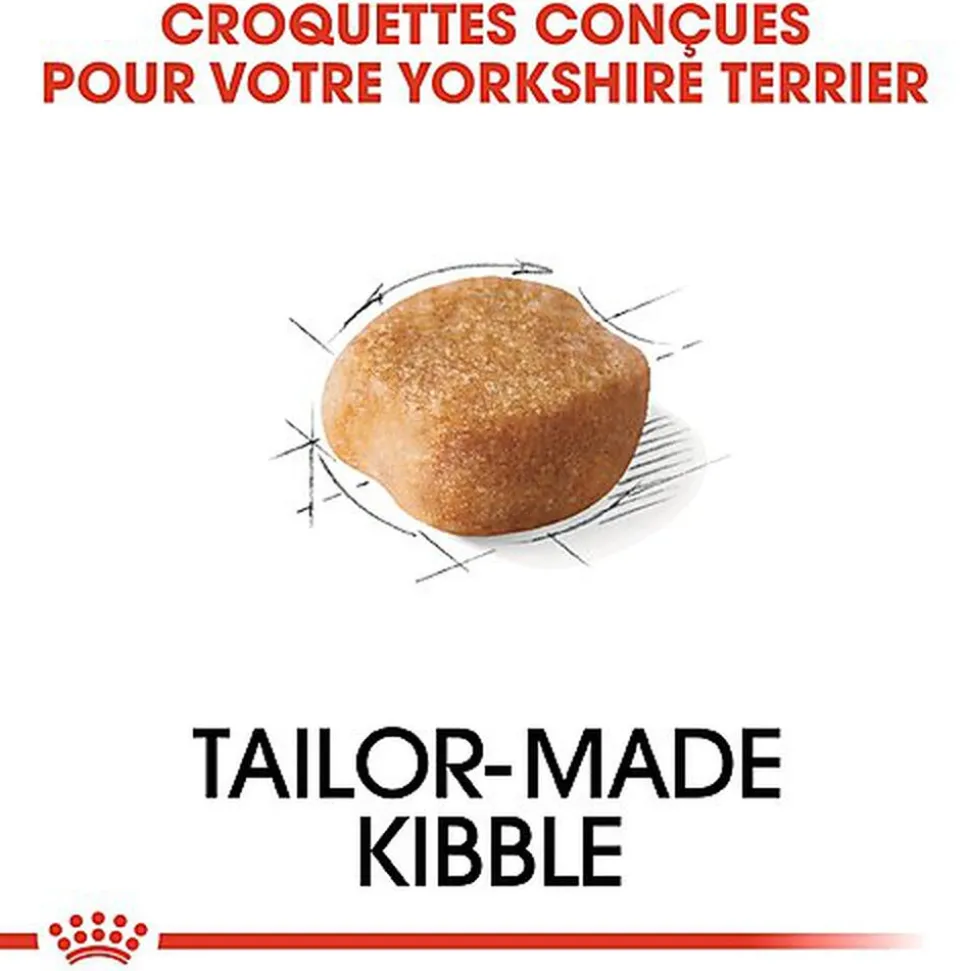 Royal Canin - Croquettes Yorkshire Terrier pour Chien Adulte