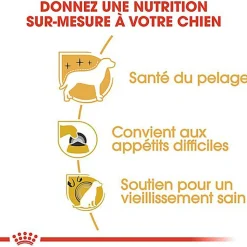 Royal Canin - Croquettes Yorkshire Terrier pour Chien Adulte