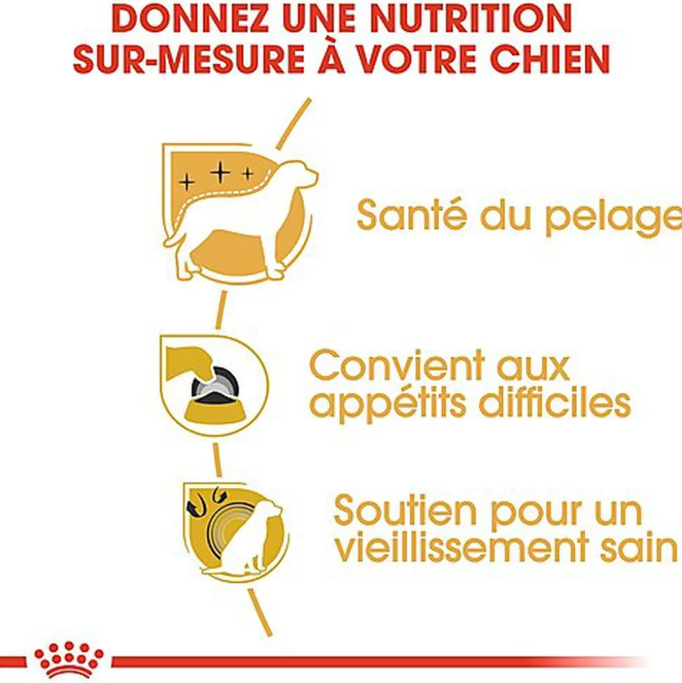 Royal Canin - Croquettes Yorkshire Terrier pour Chien Adulte