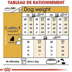Royal Canin - Croquettes Yorkshire Terrier pour Chien Adulte