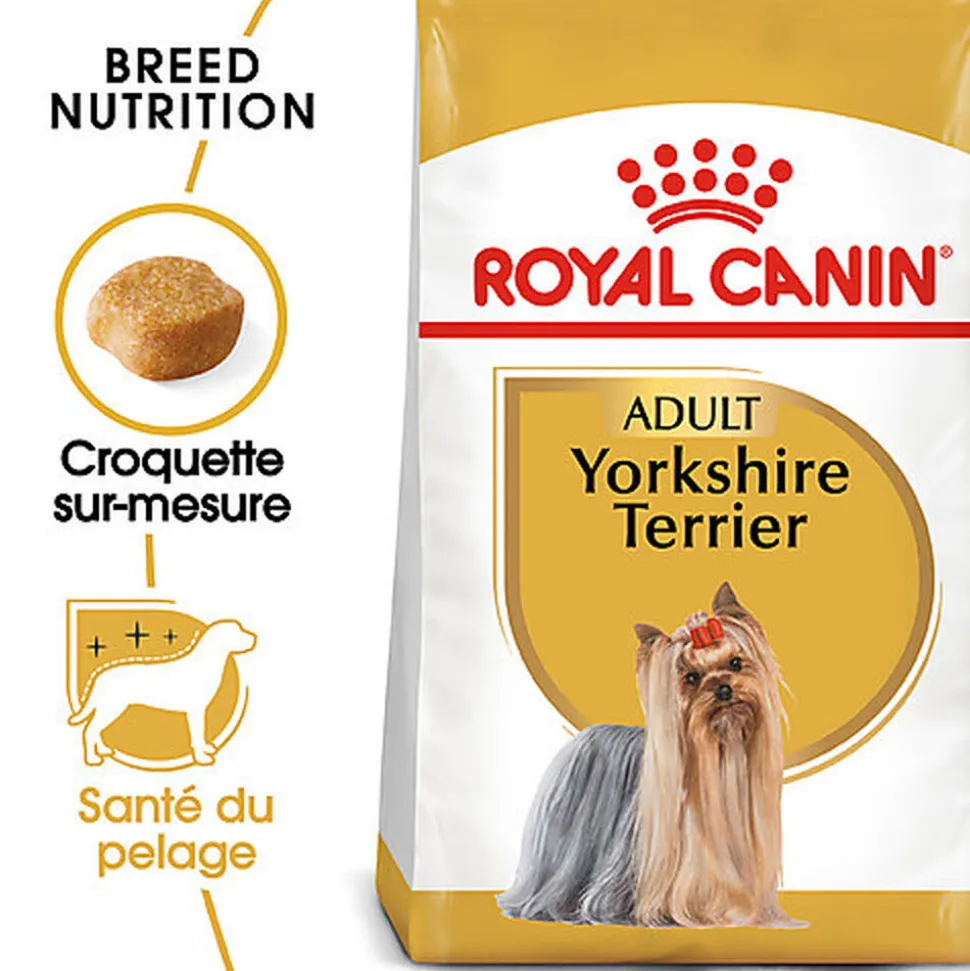 Royal Canin - Croquettes Yorkshire Terrier Adult pour Chien