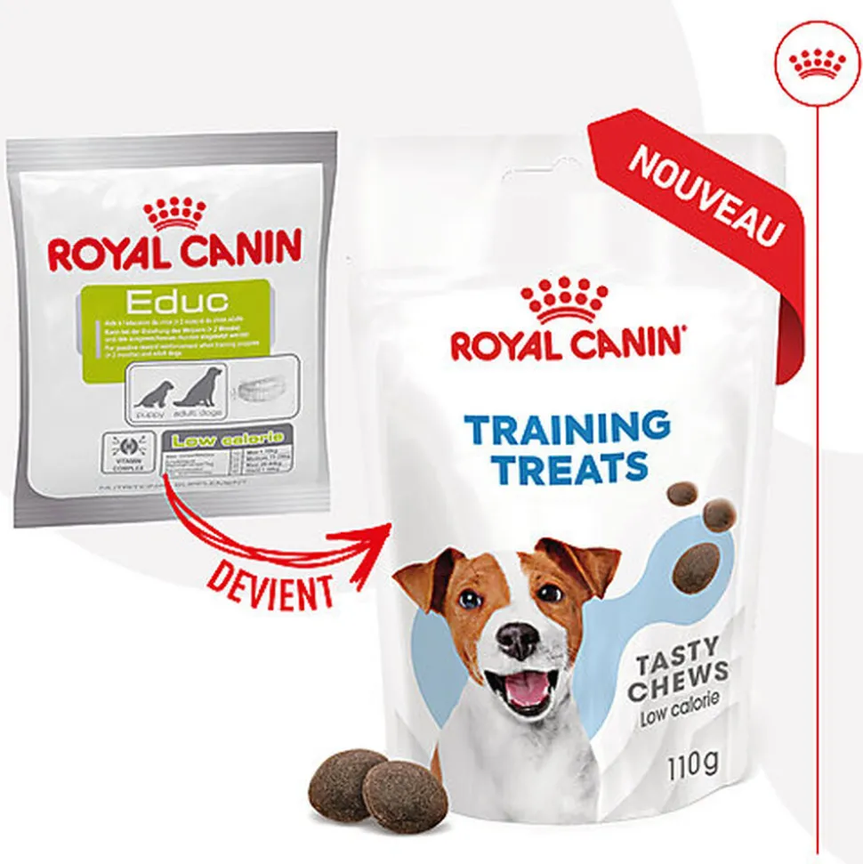 Royal Canin - Friandises Training Treats pour Chien - 110g