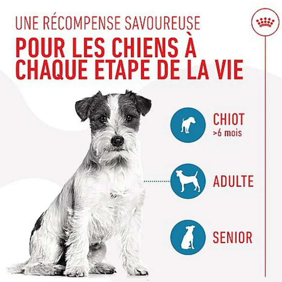 Royal Canin - Friandises Training Treats pour Chien - 110g