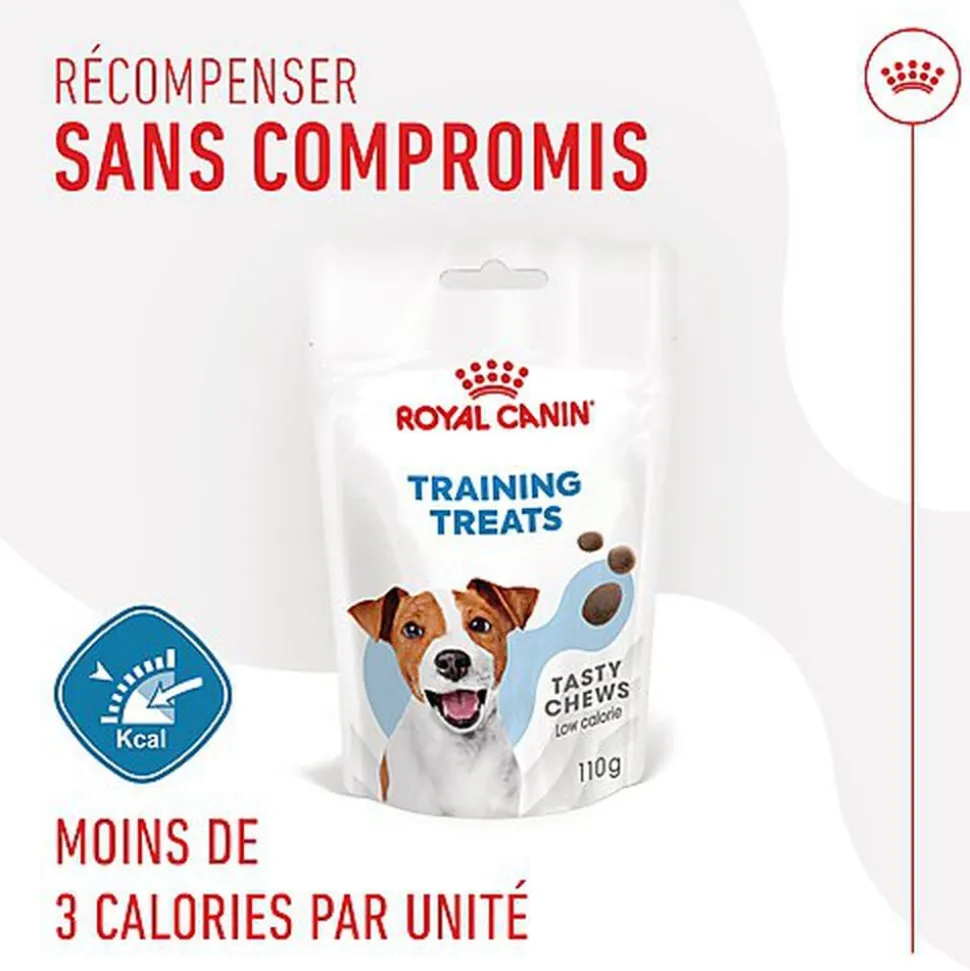 Royal Canin - Friandises Training Treats pour Chien - 110g