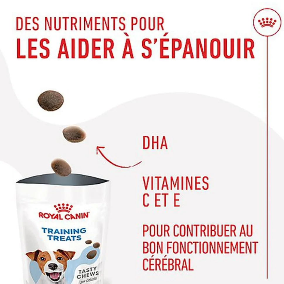 Royal Canin - Friandises Training Treats pour Chien - 110g