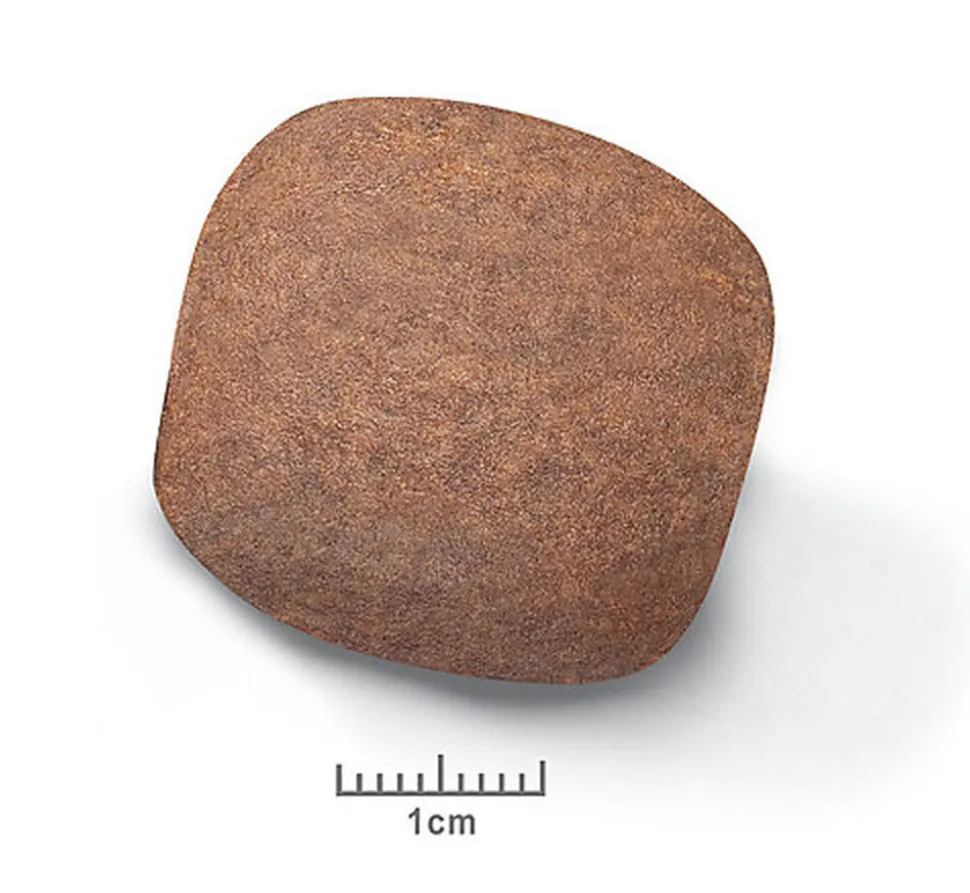 Royal Canin - Giant Junior aliment sec pour chiot