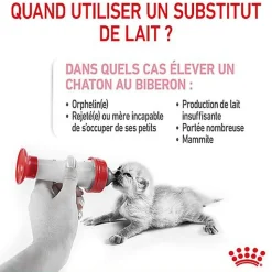 Royal Canin - Lait Baby Cat Milk pour Chaton - 300g