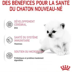 Royal Canin - Lait Baby Cat Milk pour Chaton - 300g