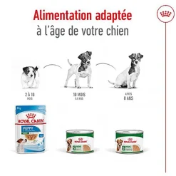 Royal Canin - Pâtée en Mousse Mini Ageing S - 195g