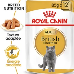Royal Canin -  Pâtée en Mousse BRITISH SHORTHAIR ADULT pour Chats - 12x85g
