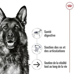 Royal Canin - Pâtée en Mousse Maxi Adult Ageing L - 410g