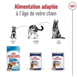 Royal Canin - Pâtée en Mousse Maxi Adult Ageing L - 410g