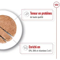Royal Canin - Pâtée en Mousse Medium Ageing Adult M - 410g