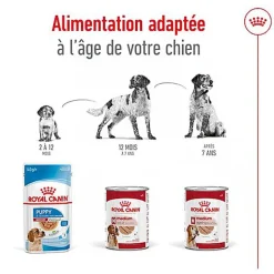 Royal Canin - Pâtée en Mousse Medium Ageing Adult M - 410g