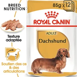 Royal Canin - Pâtée en mousse DACHSHUND ADULT pour Chiens - 12X85G
