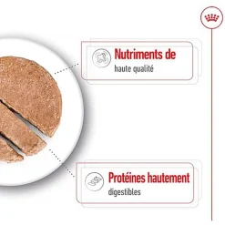 Royal Canin - Pâtée en Mousse Maxi Adult L - 410g