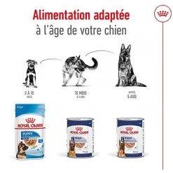 Royal Canin - Pâtée en Mousse Maxi Adult L - 410g