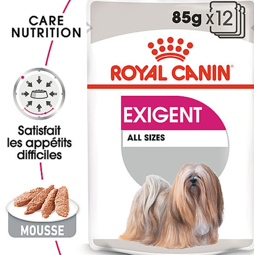 Royal Canin - Pâtée Exigent en Mousse pour Chien - 12x85g