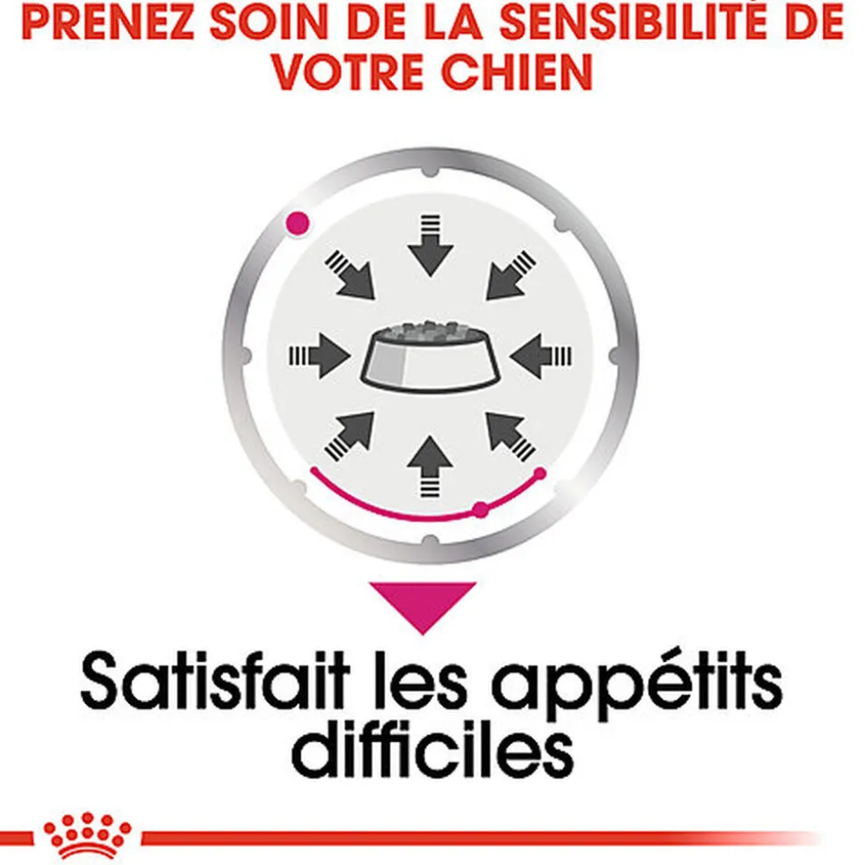 Royal Canin - Pâtée Exigent en Mousse pour Chien - 12x85g