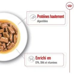 ROYAL CANIN - SACHET FRAICHEUR MAXI AGEING en sauce POUR CHIENS SENIORS - 10x140