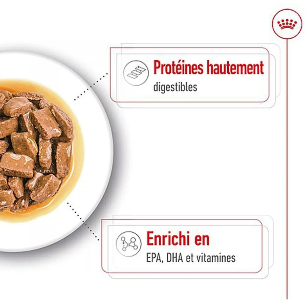 ROYAL CANIN - SACHET FRAICHEUR MAXI AGEING en sauce POUR CHIENS SENIORS - 10x140