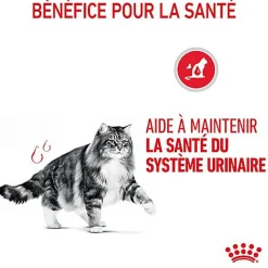 ROYAL CANIN -  SACHET FRAICHEUR URINARY EN GELEE CHAT ADULTE SANTE URINAIRE - 12x85g
