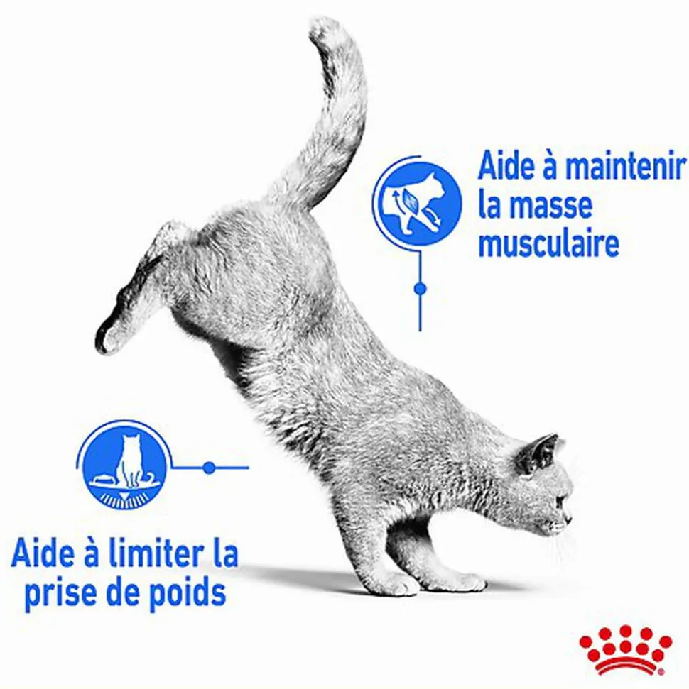 Royal Canin - Sachet Ultra Light en Sauce pour Chat - 12x85g
