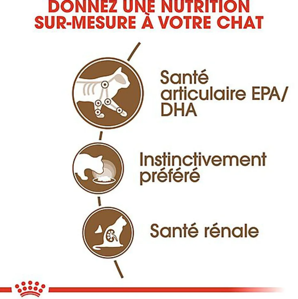 Royal Canin - Sachets Ageing 12+ en Sauce pour Chat - 12x85g