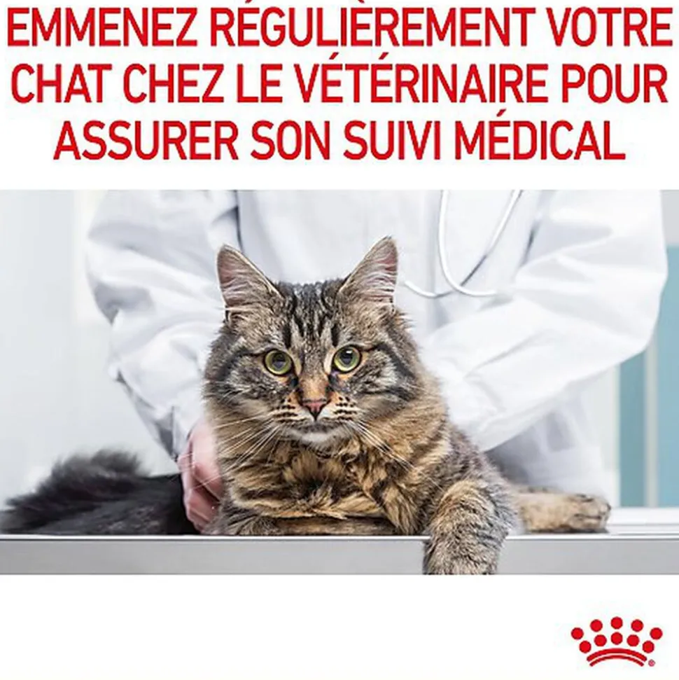 Royal Canin - Sachets Appetite Control Care en Sauce pour Chat - 12x85g