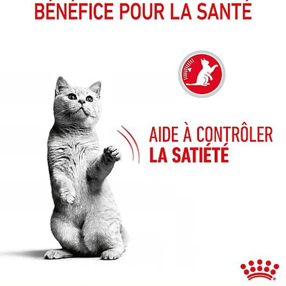 Royal Canin - Sachets Appetite Control Care en Sauce pour Chat - 12x85g