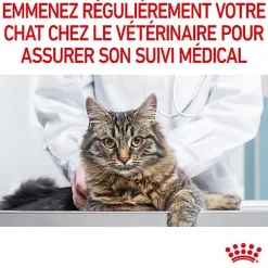 Royal Canin - Sachets Appetite Control Care en Gelée pour Chat - 12x85g