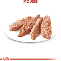 Royal Canin - Sachets Digestive Care en Mousse pour Chien - 12X85g