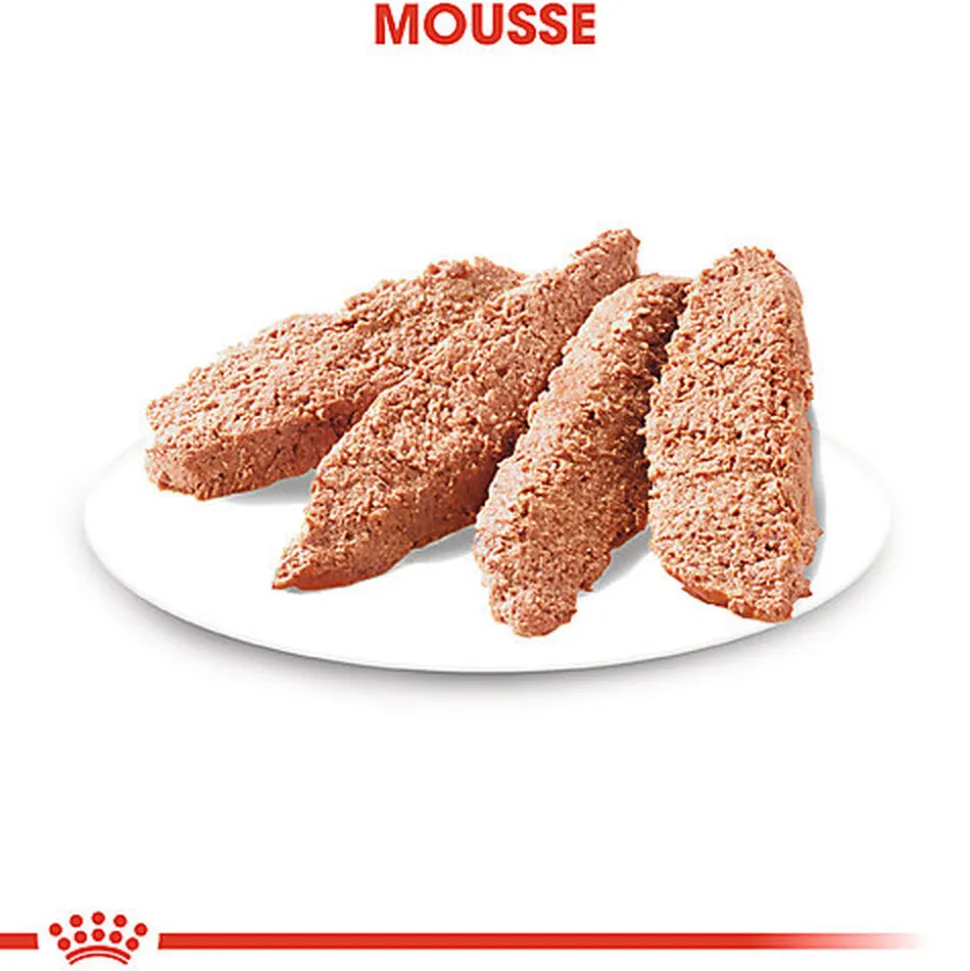 Royal Canin - Sachets Digestive Care en Mousse pour Chien - 12X85g